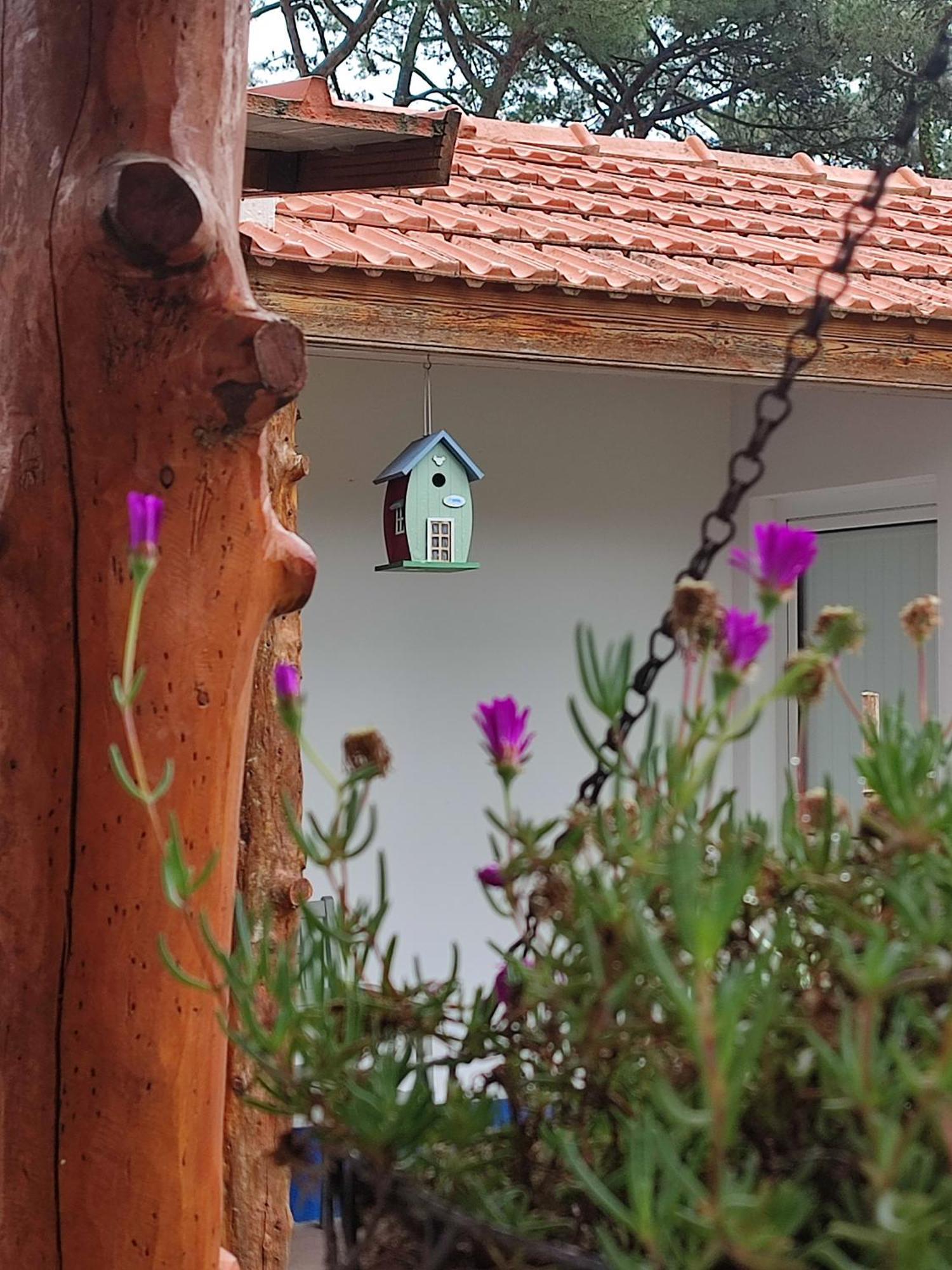 Casinha Do Pinhal Villa Colares Exteriör bild
